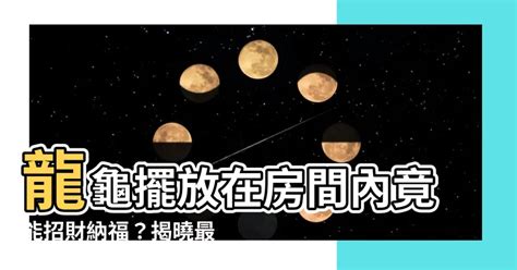 尉濟時太太 龍龜擺放房間